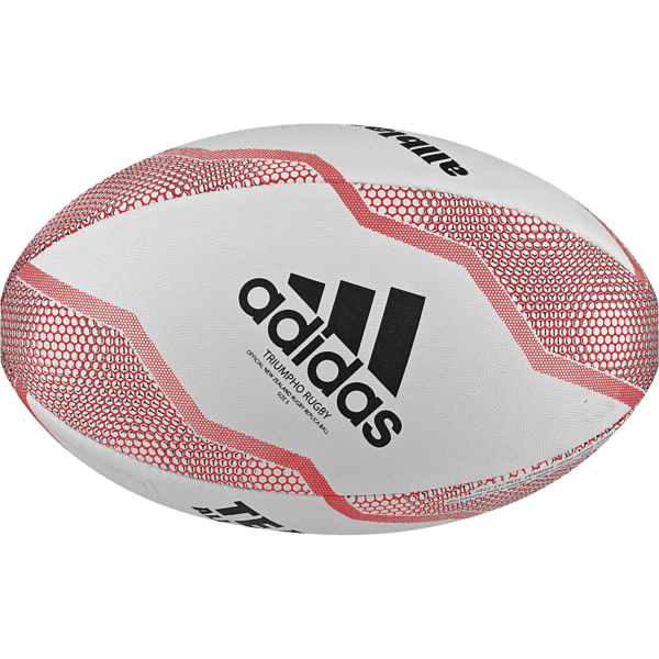All Blacks Rugby Ball Size 5 Champions Of The World