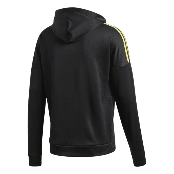 Download Hurricanes Hoodie | Champions Of The World